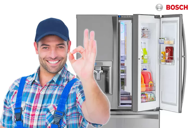 فروع صيانه بوش