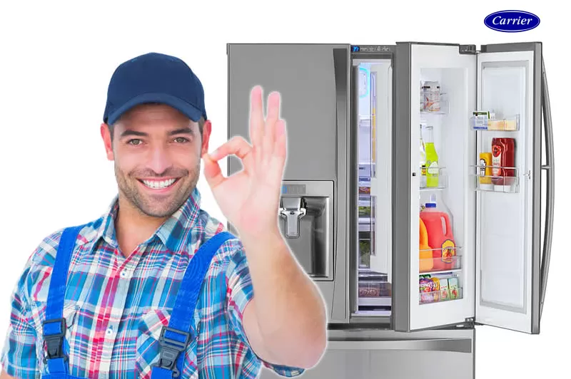 فروع صيانه كاريير